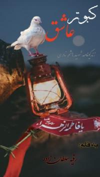 معرفی دو کتاب از طلبه نویسنده خانم رقیه سلطان زاده