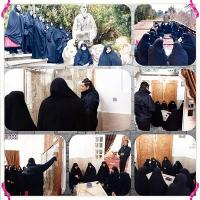 سمنان بسطام اردوی پژوهشی