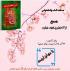 تقدیر ازطلاب شرکت کننده در مسابقه کتاب وکتابخوانی