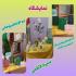 نمایشگاه کتاب «زن و خانواده» 