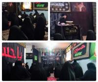 نشست علمی