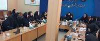 هجدهمین پیش نشست (همایش ملی بانوی کرد)،استان کردستان