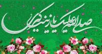 برشی از کتاب منزلت و شخصیت علمی حضت زینب سلام الله علیها